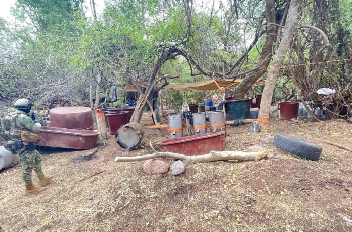 Clandestine lab in Sonora