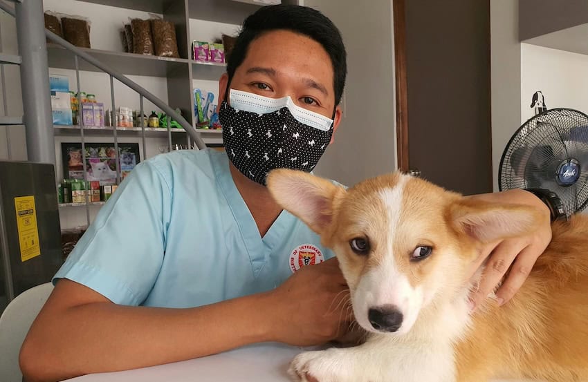 Vet with a dog.